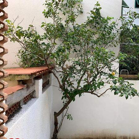 Pivarada 50 Alghero Ngoại thất bức ảnh